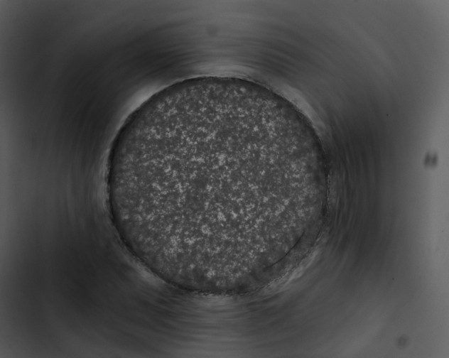 X0000102851071200809081238