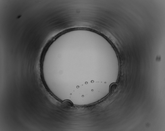 X0000102851072200809081238