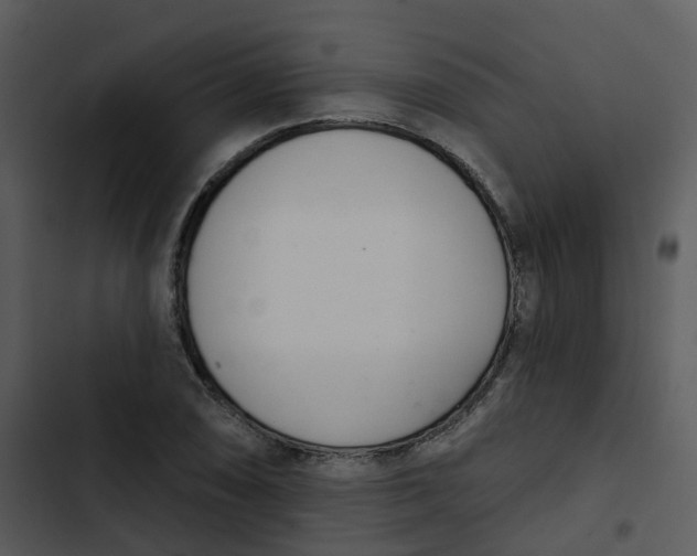 X0000102851074200809081238