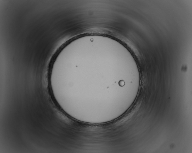 X0000102851075200809081238