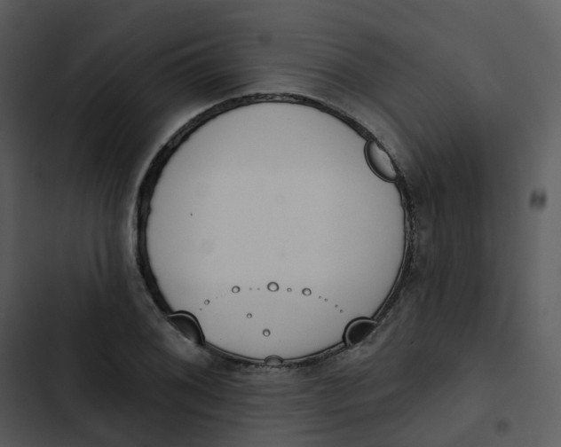 X0000102851076200809081238