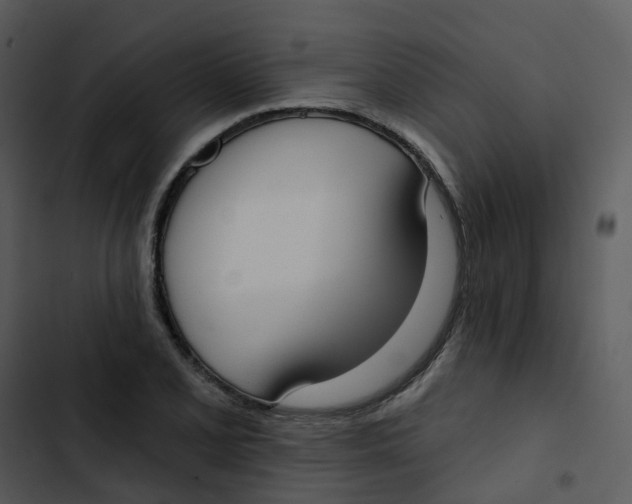 X0000102851077200809081238