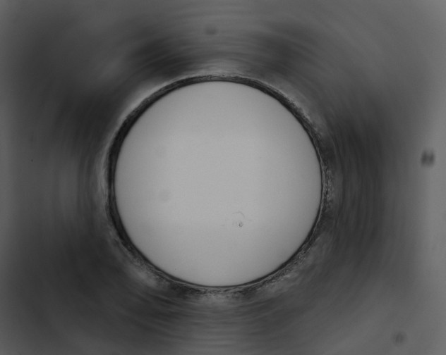 X0000102851078200809081237