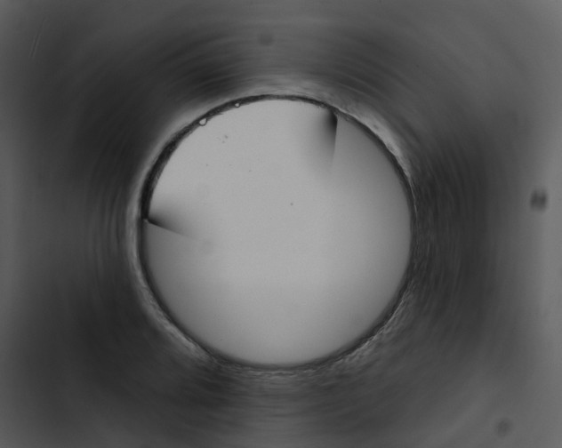 X0000102851080200809081237