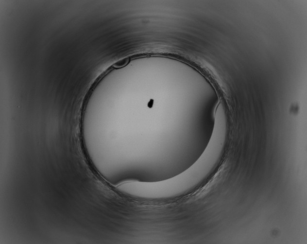 X0000102851081200809081237