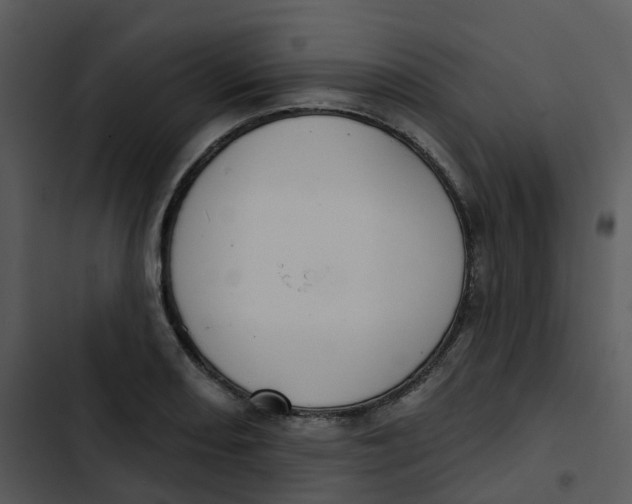 X0000102851082200809081237