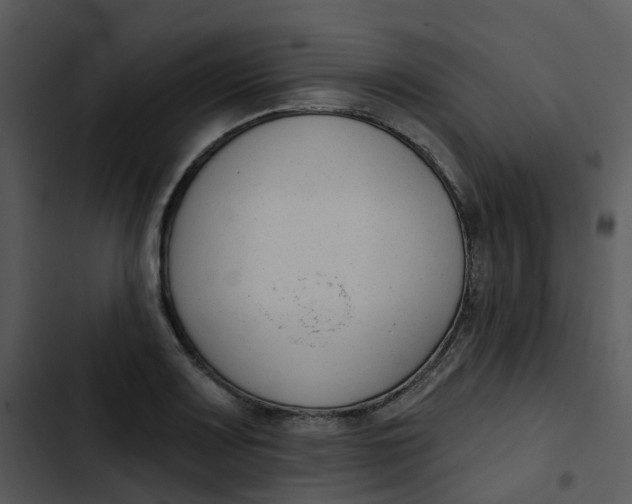 X0000102851083200809081237