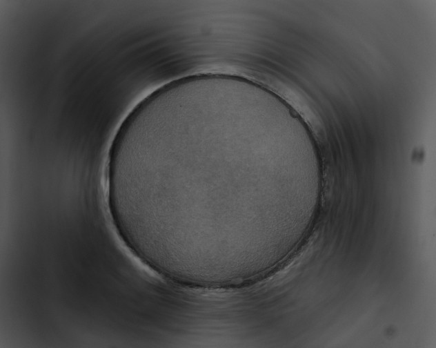 X0000102851084200809081237