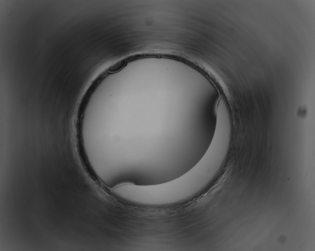 X0000102851085200809081237