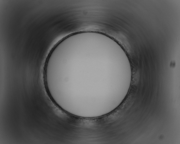 X0000102851086200809081237