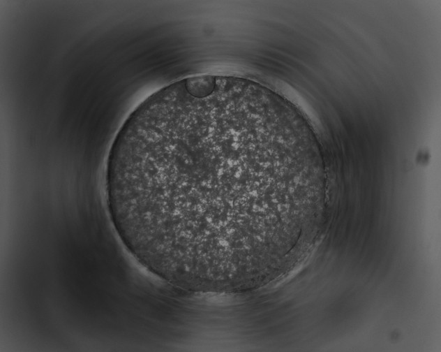 X0000102851087200809081237