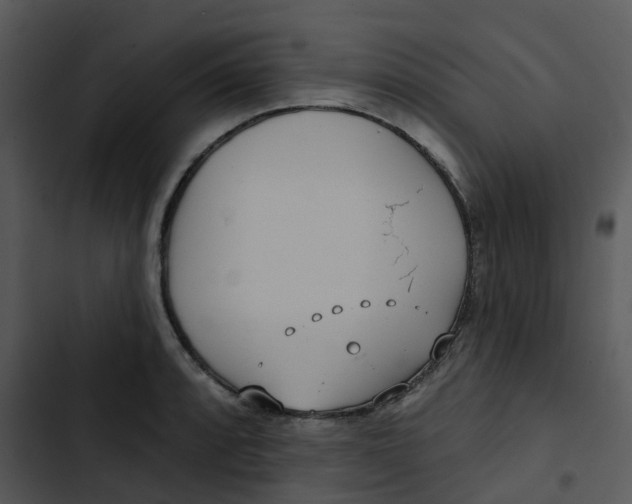 X0000102851088200809081237