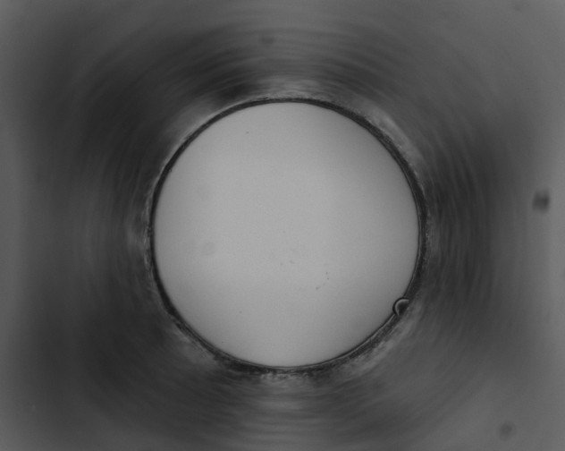 X0000102851089200809081237