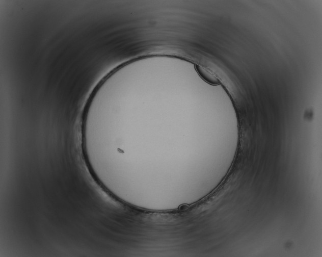 X0000102851092200809081237