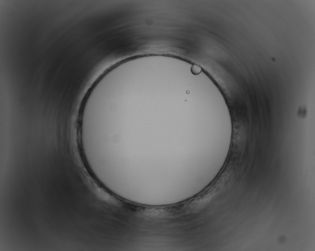 X0000102851094200809081237