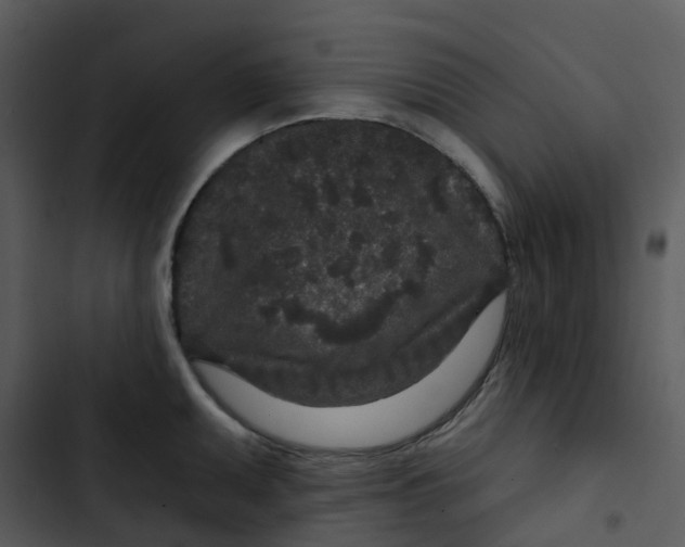 X0000102851095200809081237