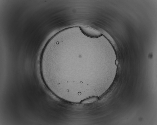 X0000102851096200809081237