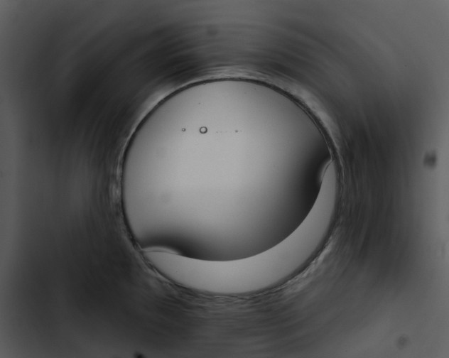 X0000102851097200809081237