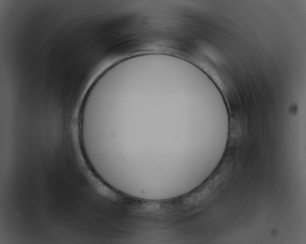 X0000102851098200809081237