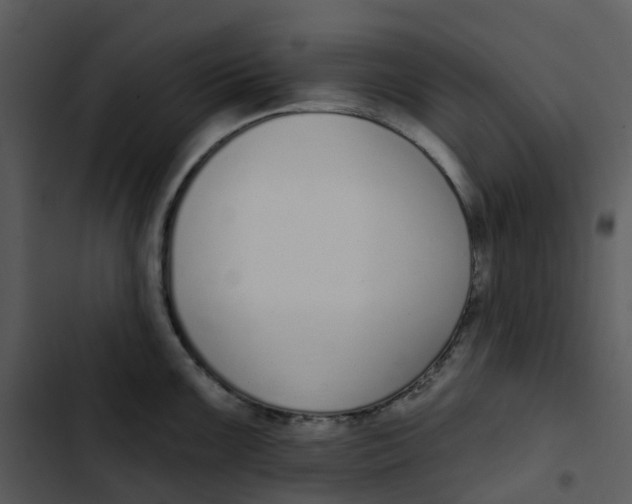 X0000102851099200809081237