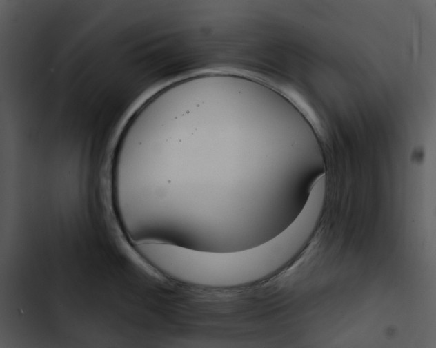 X0000102851100200809081237