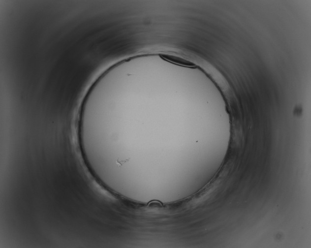 X0000102851102200809081237