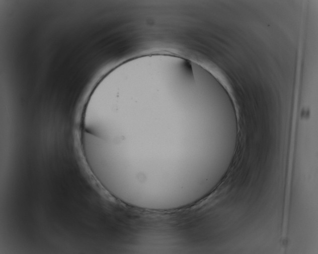 X0000102851104200809081237