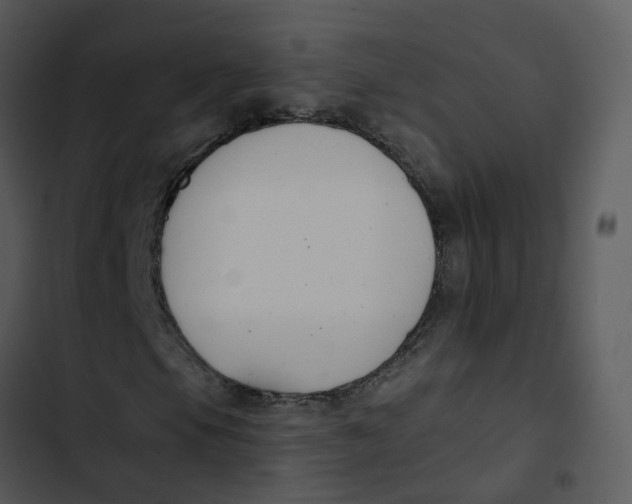 X0000102851105200809081236