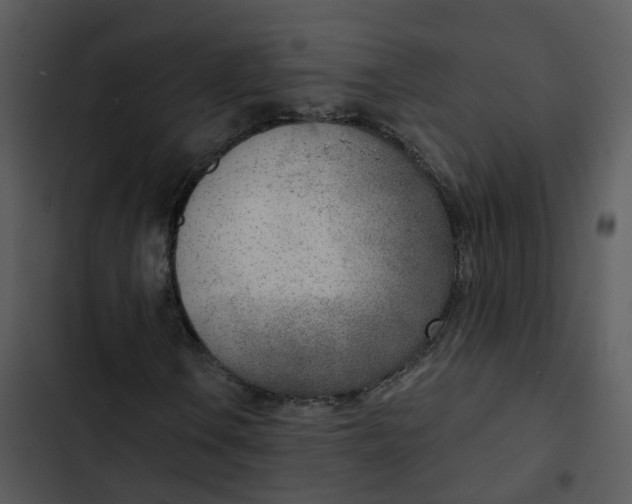 X0000102851106200809081236