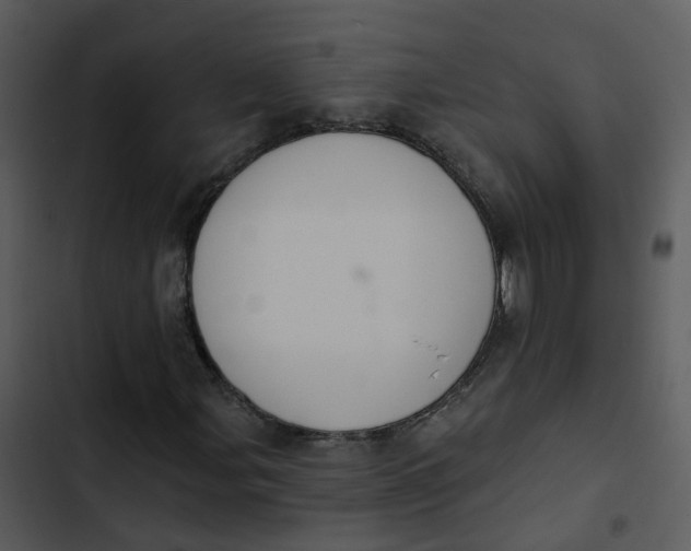 X0000102851107200809081236