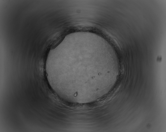 X0000102851108200809081236