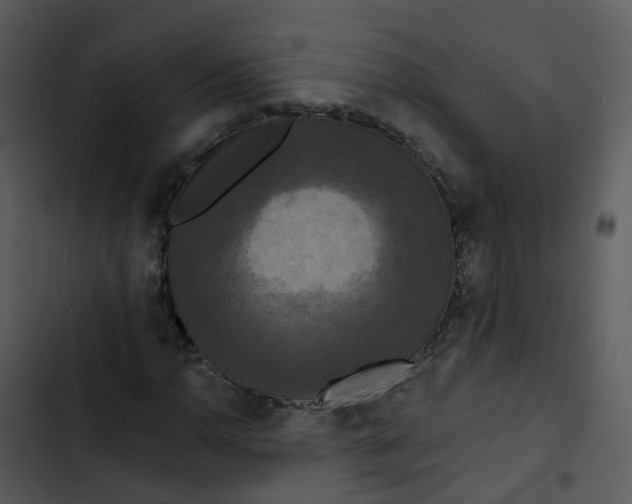 X0000102851110200809081237