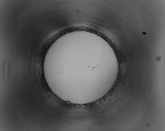 X0000102851111200809081237