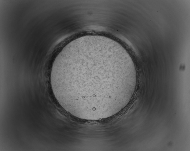 X0000102851112200809081237