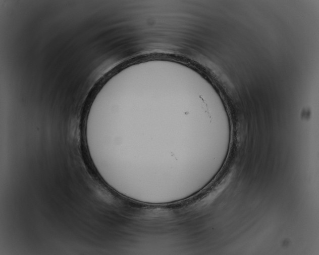 X0000102851113200809081237