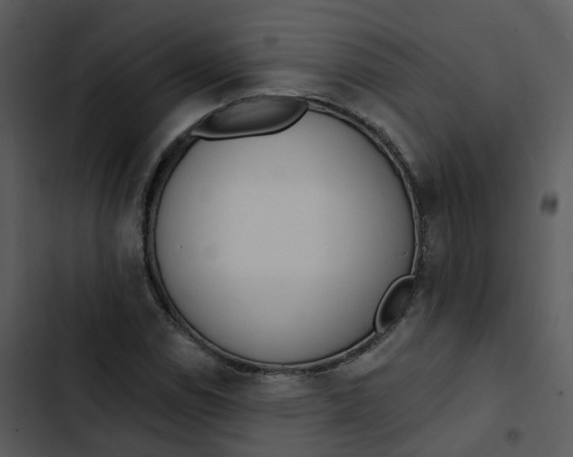 X0000102851114200809081237