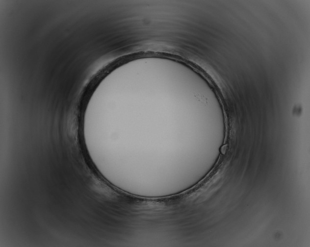 X0000102851115200809081237