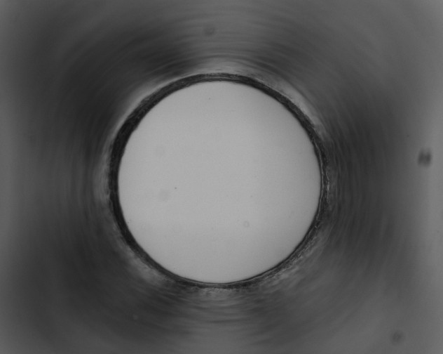 X0000102851116200809081237