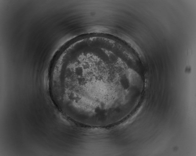 X0000102851117200809081237