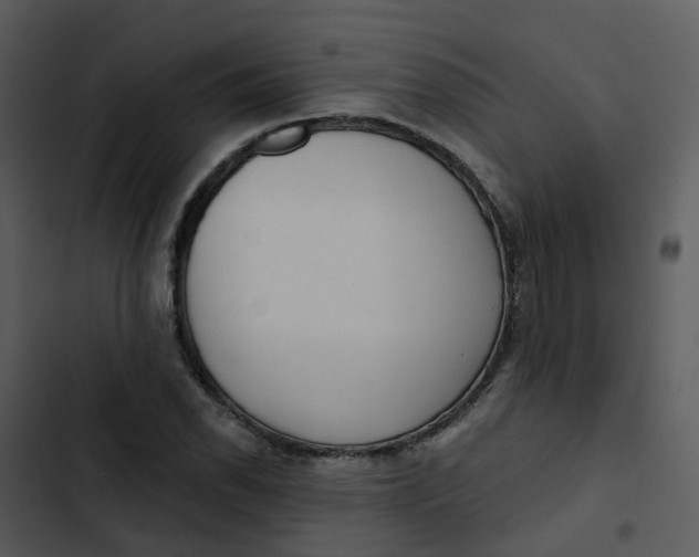 X0000102851118200809081237