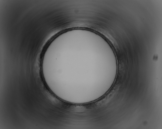 X0000102851119200809081237