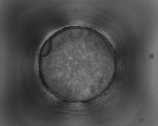 X0000102851120200809081237