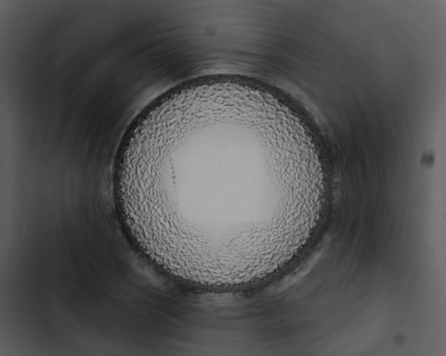 X0000102851121200809081237