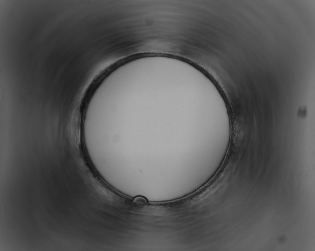 X0000102851123200809081237