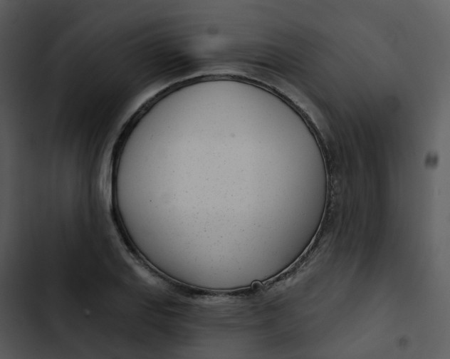 X0000102851127200809081237