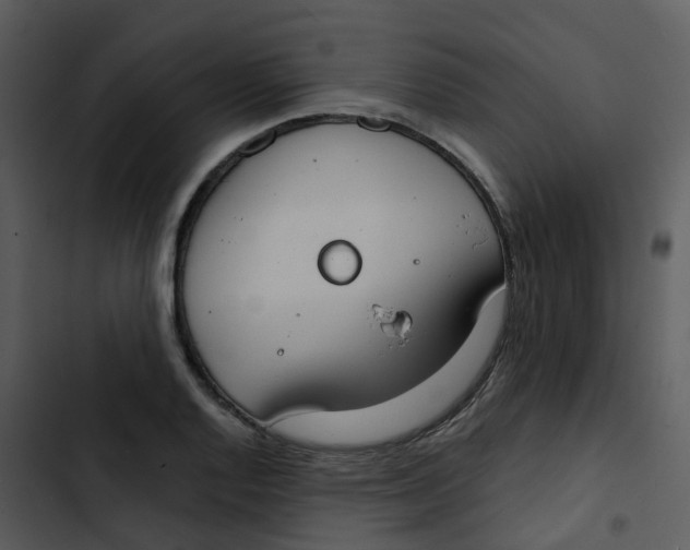 X0000102851128200809081237