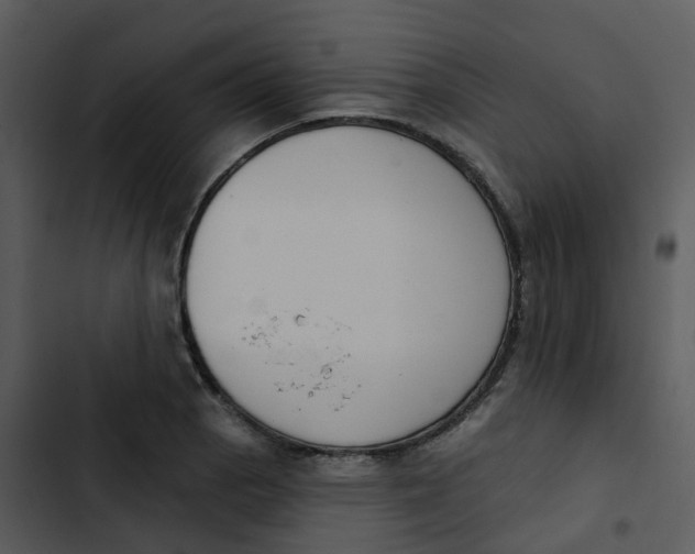 X0000102851129200809081237