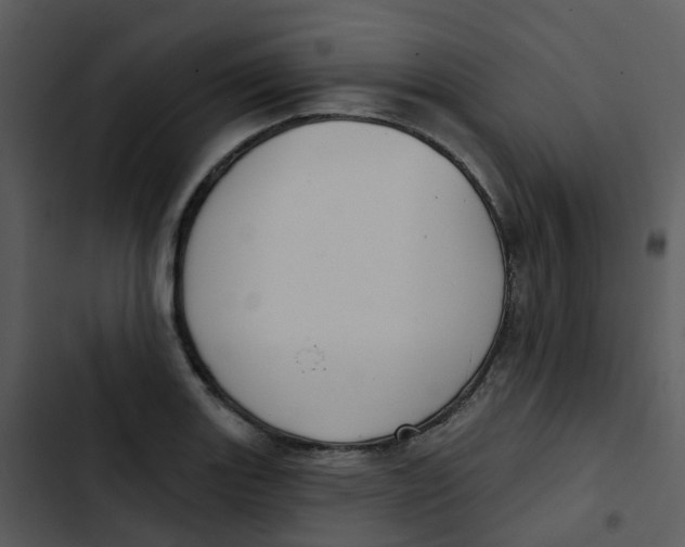 X0000102851131200809081237