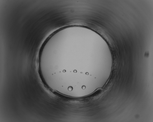 X0000102851132200809081237