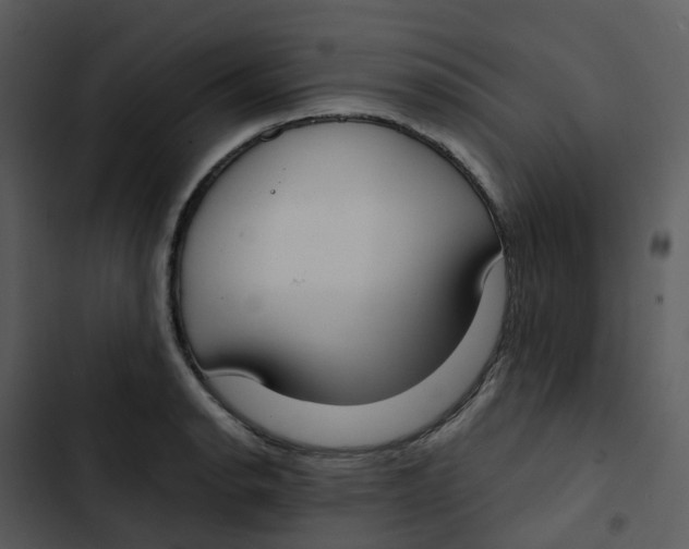 X0000102851134200809081237